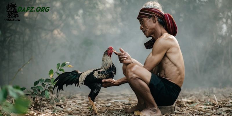Những lợi ích nổi bật khi sử dụng rượu bóp gà chọi